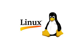 视频：Linux安装TomExam免费版